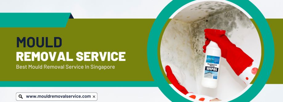 Mould Removal Services Services Cover Image